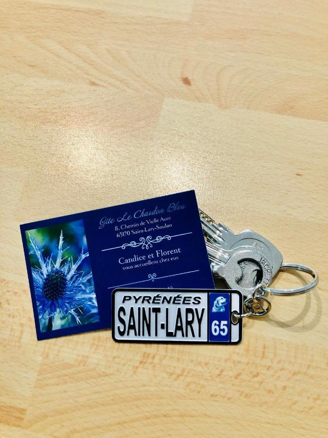Gite 3*** Le Chardon Bleu Saint-Lary-Soulan Exterior photo